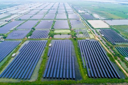 Solar Firm Bird View