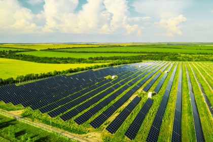 Solar firm green